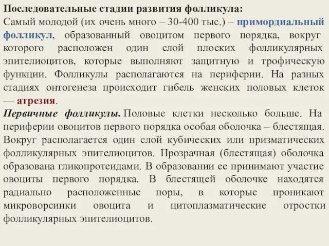 Последовательные стадии развития фолликула: Самый молодой (их очень много – 30-400