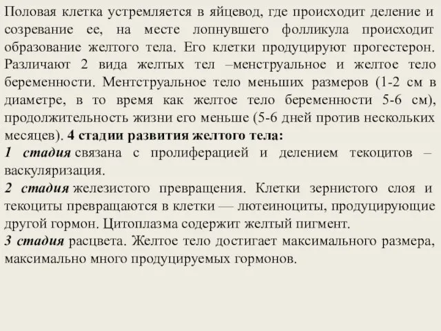 Половая клетка устремляется в яйцевод, где происходит деление и созревание ее,