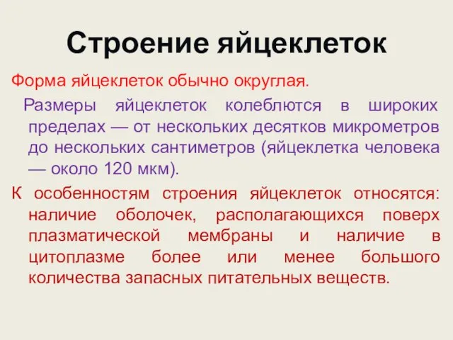 Строение яйцеклеток Форма яйцеклеток обычно округлая. Размеры яйцеклеток колеблются в широких