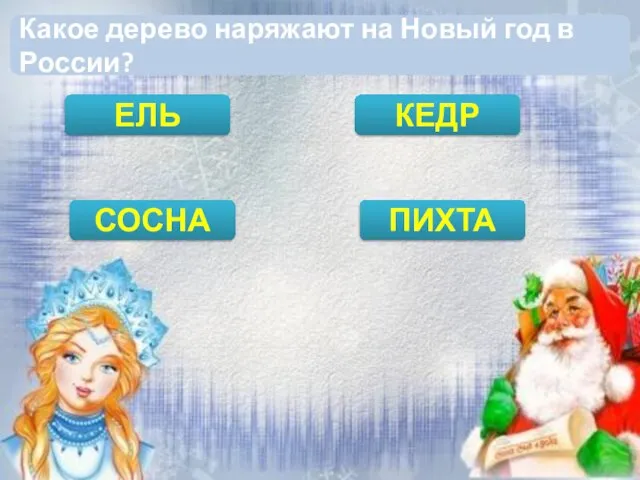 Какое дерево наряжают на Новый год в России? ЕЛЬ СОСНА ПИХТА КЕДР