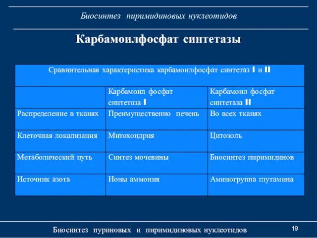 Биосинтез пиримидиновых нуклеотидов Биосинтез пуриновых и пиримидиновых нуклеотидов Карбамоилфосфат синтетазы