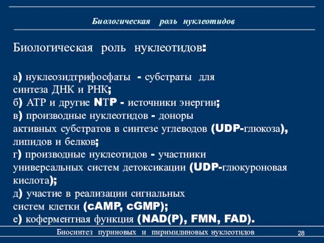 Биологическая роль нуклеотидов Биосинтез пуриновых и пиримидиновых нуклеотидов Биологическая роль нуклеотидов: