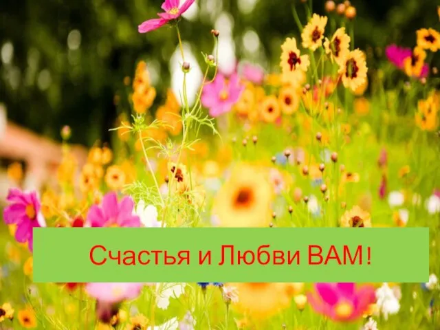 Счастья и Любви ВАМ!