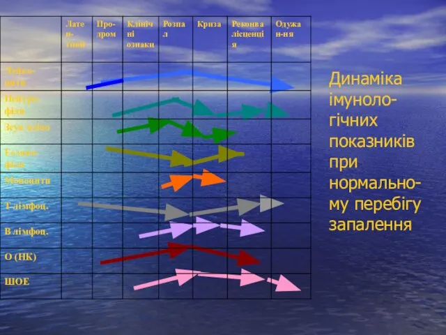 Динаміка імуноло-гічних показників при нормально- му перебігу запалення