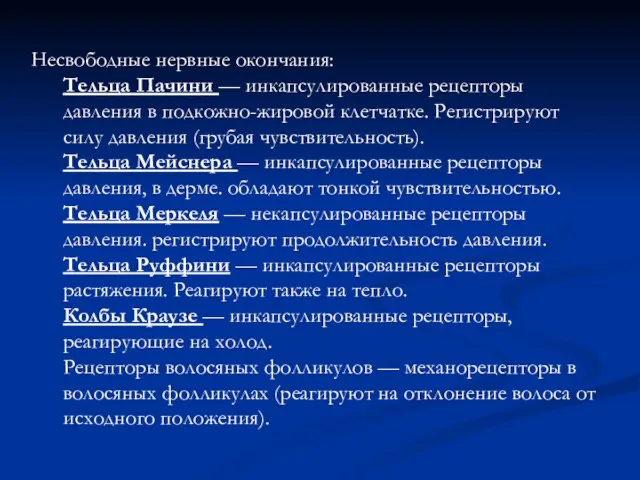 Несвободные нервные окончания: Тельца Пачини — инкапсулированные рецепторы давления в подкожно-жировой