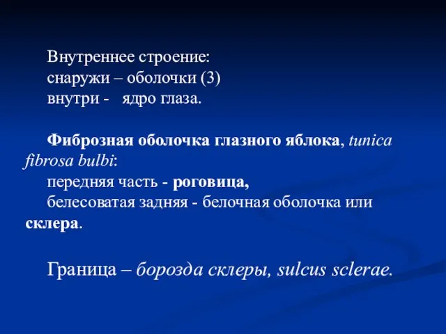 Внутреннее строение: снаружи – оболочки (3) внутри - ядро глаза. Фиброзная