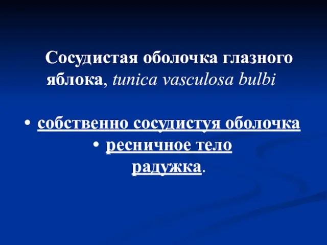 Сосудистая оболочка глазного яблока, tunica vasculosa bulbi собственно сосудистуя оболочка ресничное тело радужка.