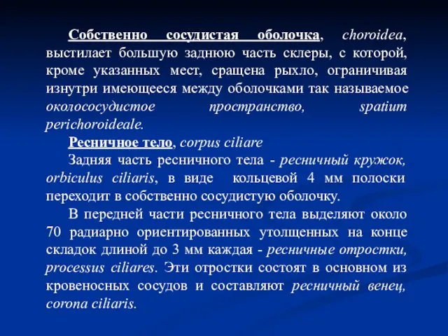 Собственно сосудистая оболочка, choroidea, выстилает большую заднюю часть склеры, с которой,