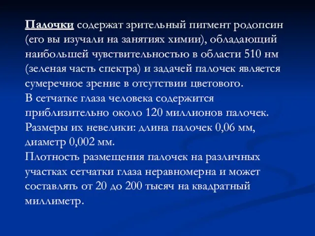 Палочки содержат зрительный пигмент родопсин (его вы изучали на занятиях химии),