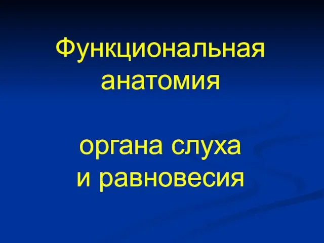 Функциональная анатомия органа слуха и равновесия