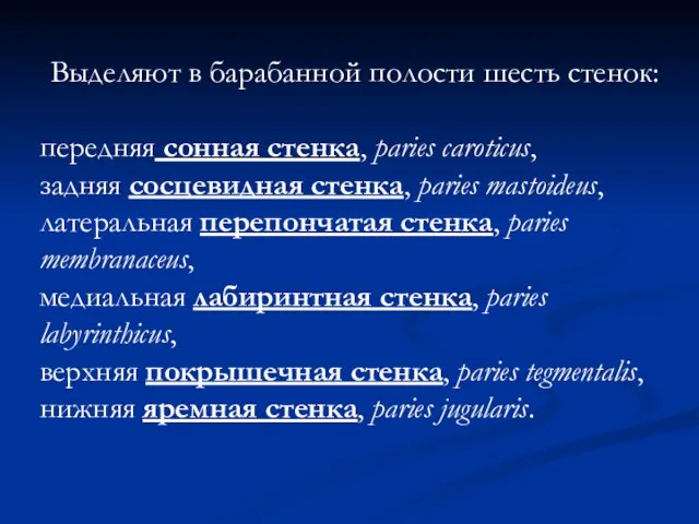 Выделяют в барабанной полости шесть стенок: передняя сонная стенка, paries caroticus,