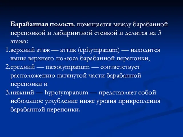 Барабанная полость помещается между барабанной перепонкой и лабиринтной стенкой и делится