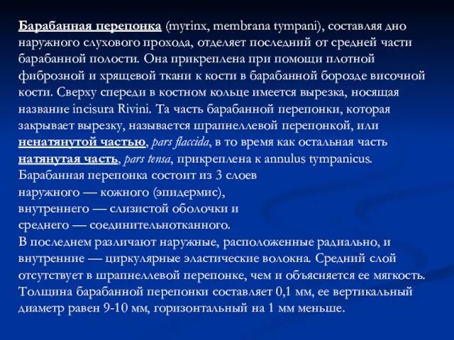 Барабанная перепонка (myrinx, membrana tympani), составляя дно наружного слухового прохода, отделяет