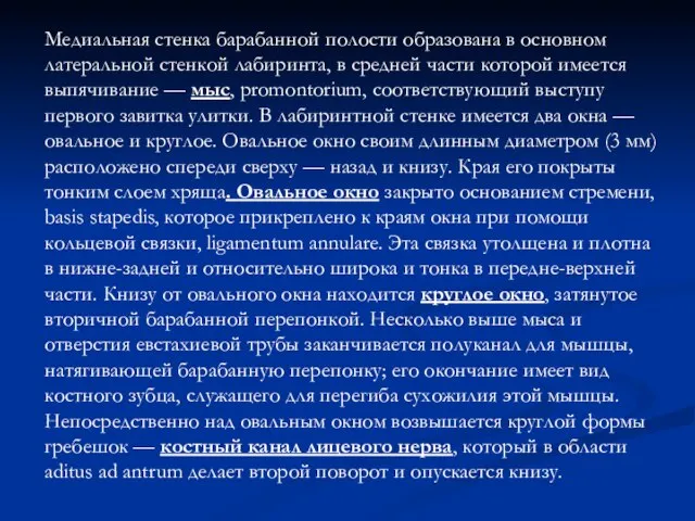 Медиальная стенка барабанной полости образована в основном латеральной стенкой лабиринта, в