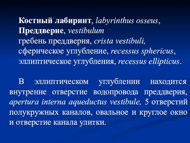 Костный лабиринт, labyrinthus osseus, Преддверие, vestibulum гребень преддверия, crista vestibuli, сферическое