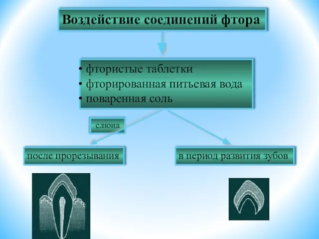 Воздействие соединений фтора фтористые таблетки фторированная питьевая вода поваренная соль после