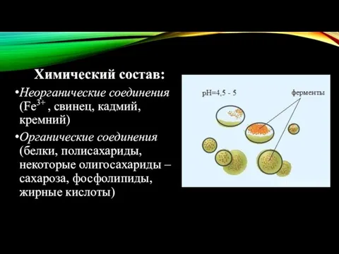 Химический состав: Неорганические соединения (Fe3+ , свинец, кадмий, кремний) Органические соединения