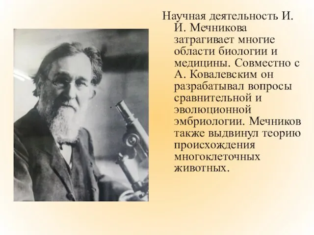 Научная деятельность И.И. Мечникова затрагивает многие области биологии и медицины. Совместно