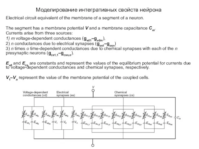 Моделирование интегративных свойств нейрона Electrical circuit equivalent of the membrane of