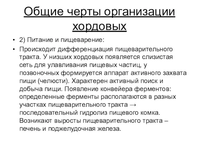 Общие черты организации хордовых 2) Питание и пищеварение: Происходит дифференциация пищеварительного