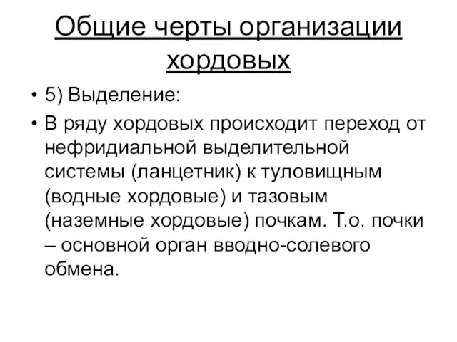 Общие черты организации хордовых 5) Выделение: В ряду хордовых происходит переход