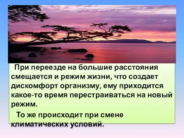 При переезде на большие расстояния смещается и режим жизни, что создает