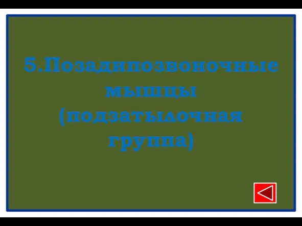 5.Позадипозвоночные мышцы (подзатылочная группа)