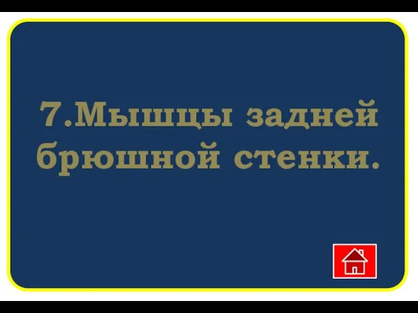 7.Мышцы задней брюшной стенки.