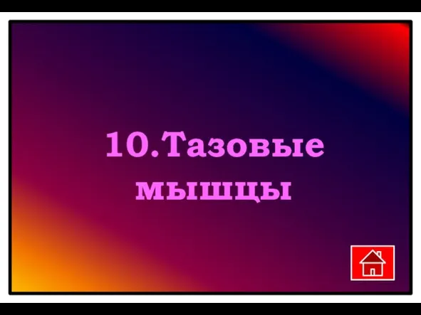 10.Тазовые мышцы