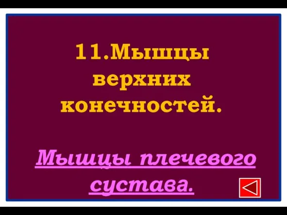 11.Мышцы верхних конечностей. Мышцы плечевого сустава.