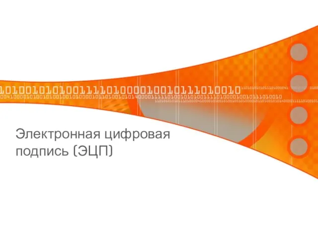 Электронная цифровая подпись (ЭЦП)