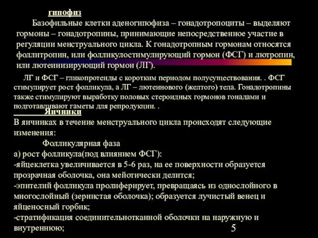 ЛГ и ФСГ – гликопротеиды с коротким периодом полусуществования. . ФСГ