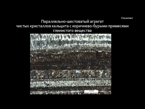 Параллельно-шестоватый агрегат чистых кристаллов кальцита с коричнево-бурыми примесями глинистого вещества Сталагмит