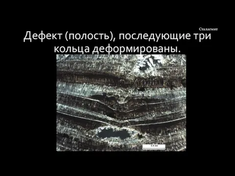 Дефект (полость), последующие три кольца деформированы. Сталагмит