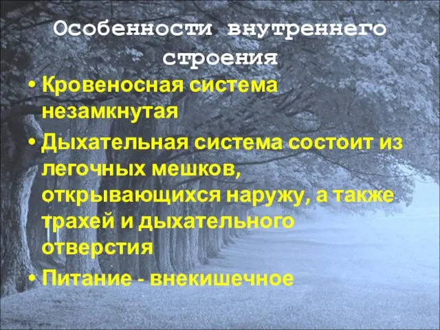 Особенности внутреннего строения Кровеносная система незамкнутая Дыхательная система состоит из легочных