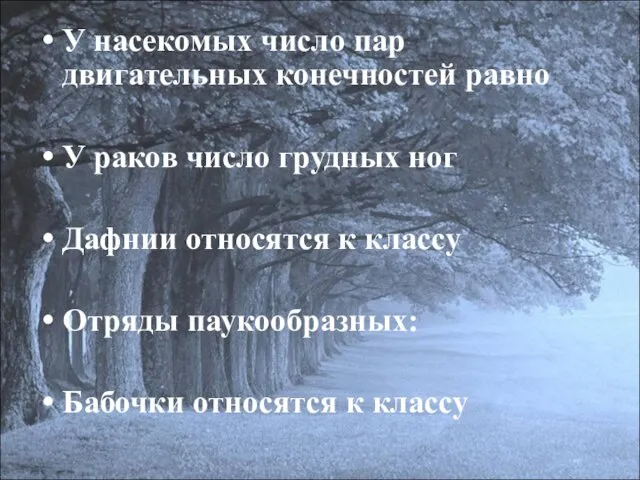 У насекомых число пар двигательных конечностей равно У раков число грудных