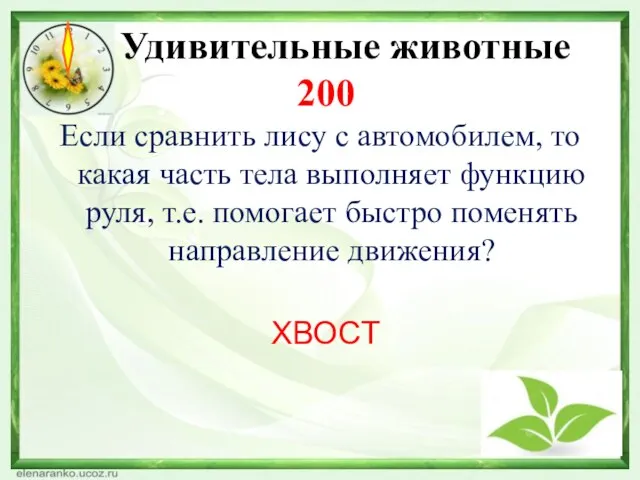 Удивительные животные 200 Если сравнить лису с автомобилем, то какая часть