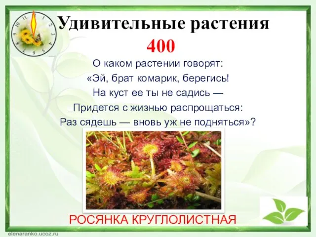 Удивительные растения 400 О каком растении говорят: «Эй, брат комарик, берегись!