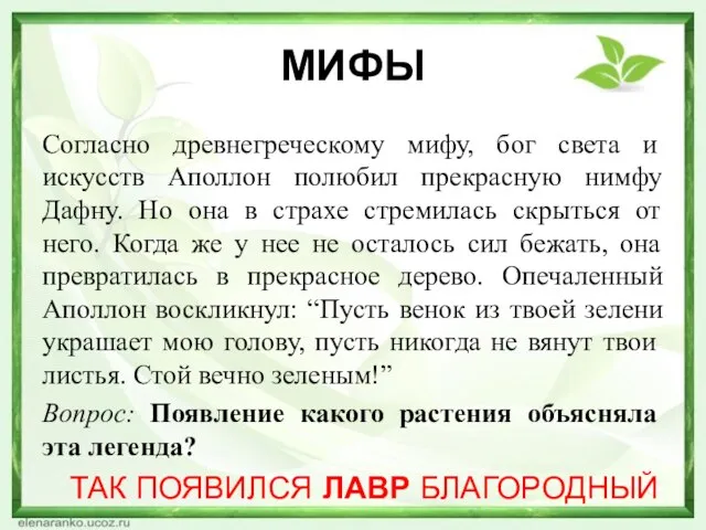 МИФЫ Согласно древнегреческому мифу, бог света и искусств Аполлон полюбил прекрасную