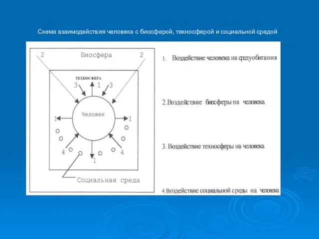 Схема взаимодействия человека с биосферой, техносферой и социальной средой