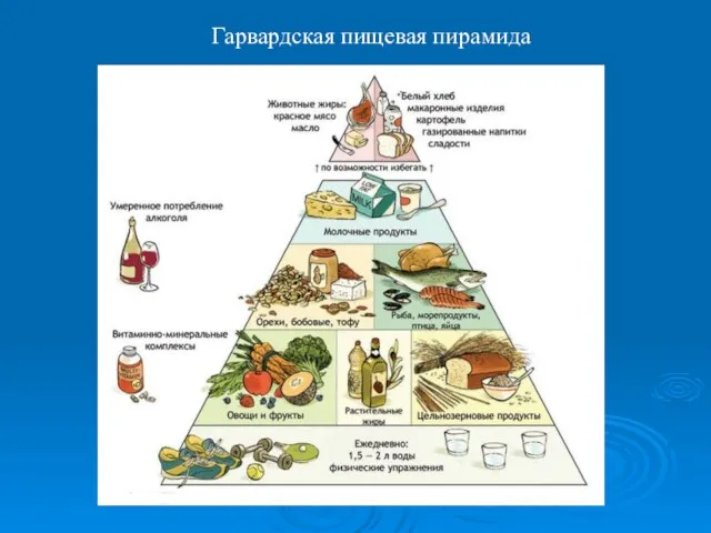 Гарвардская пищевая пирамида