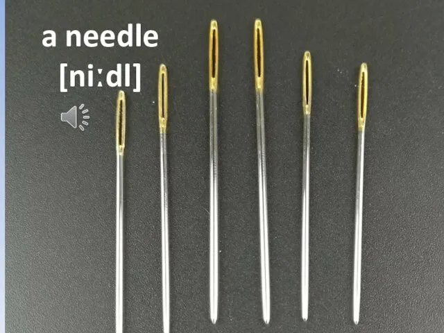 a needle [niːdl]