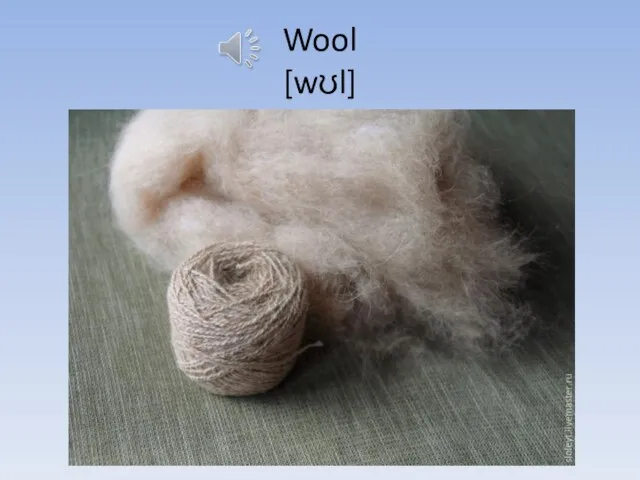 Wool [wʊl]