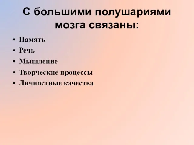 С большими полушариями мозга связаны: Память Речь Мышление Творческие процессы Личностные качества