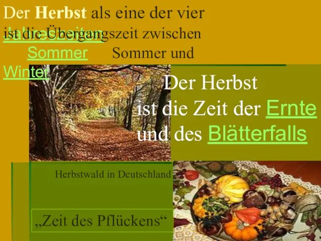 Herbstwald in Deutschland Der Herbst als eine der vier Jahreszeiten ist