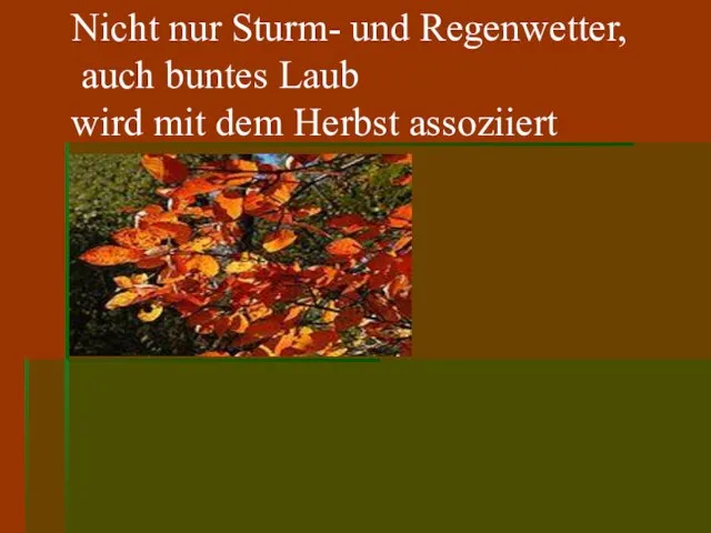 Nicht nur Sturm- und Regenwetter, auch buntes Laub wird mit dem Herbst assoziiert