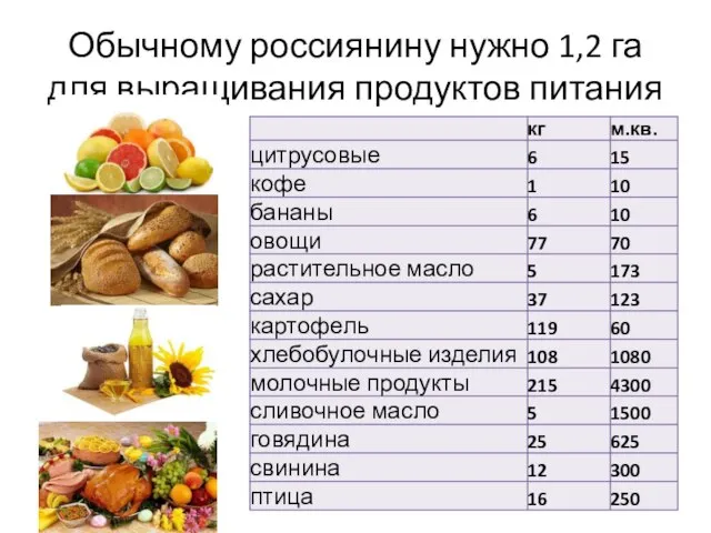 Обычному россиянину нужно 1,2 га для выращивания продуктов питания