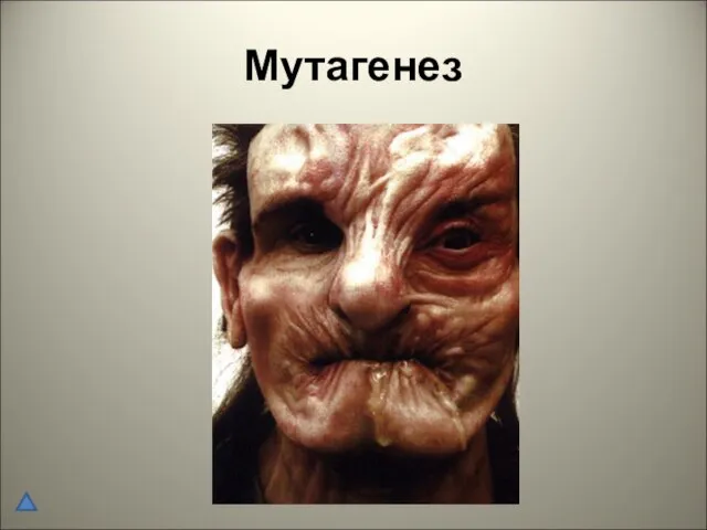 Мутагенез