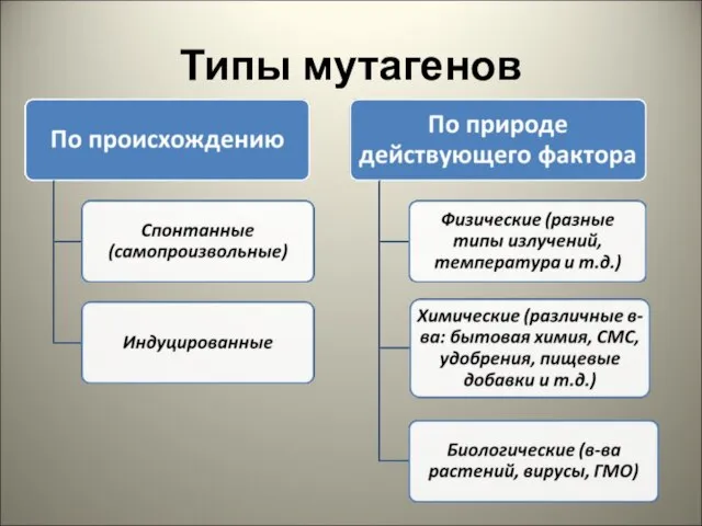 Типы мутагенов