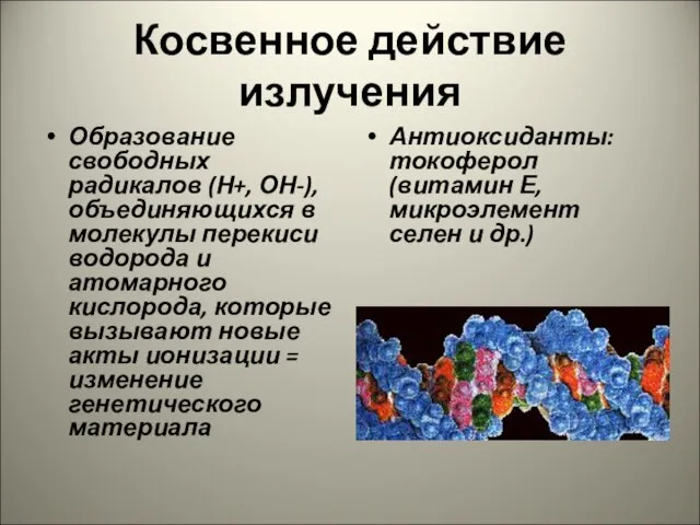 Косвенное действие излучения Образование свободных радикалов (Н+, ОН-), объединяющихся в молекулы